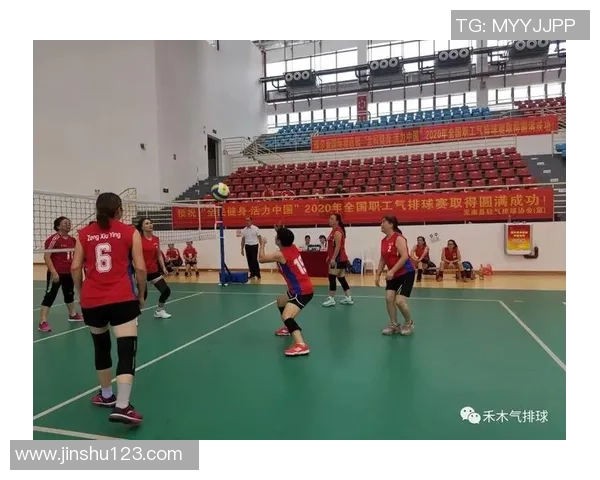 上海排球队灵活性探讨：技战术创新与团队协作的完美结合